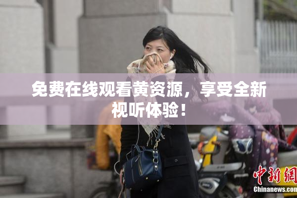 免费在线观看黄资源，享受全新视听体验！
