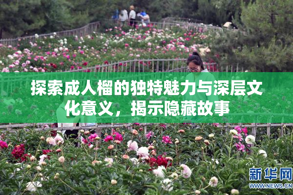 探索成人榴的独特魅力与深层文化意义，揭示隐藏故事
