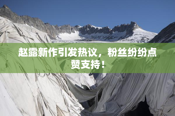 赵露新作引发热议，粉丝纷纷点赞支持！