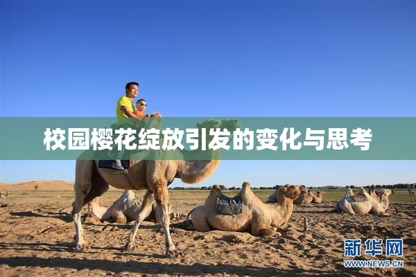 校园樱花绽放引发的变化与思考