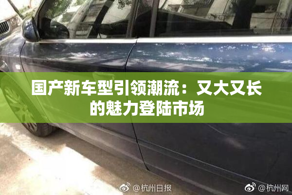 国产新车型引领潮流：又大又长的魅力登陆市场