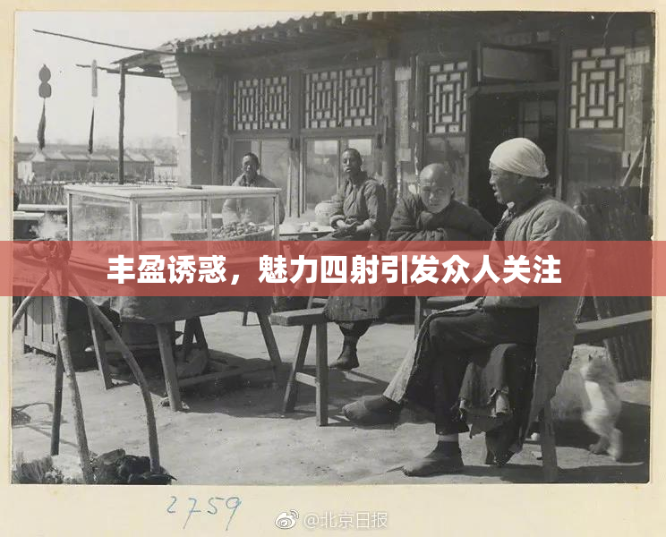 丰盈诱惑，魅力四射引发众人关注