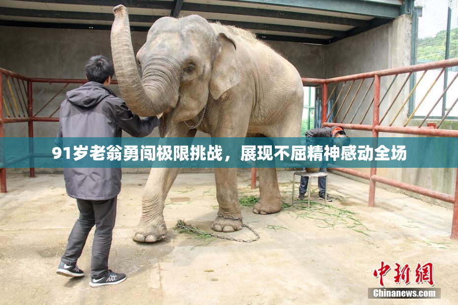 91岁老翁勇闯极限挑战，展现不屈精神感动全场