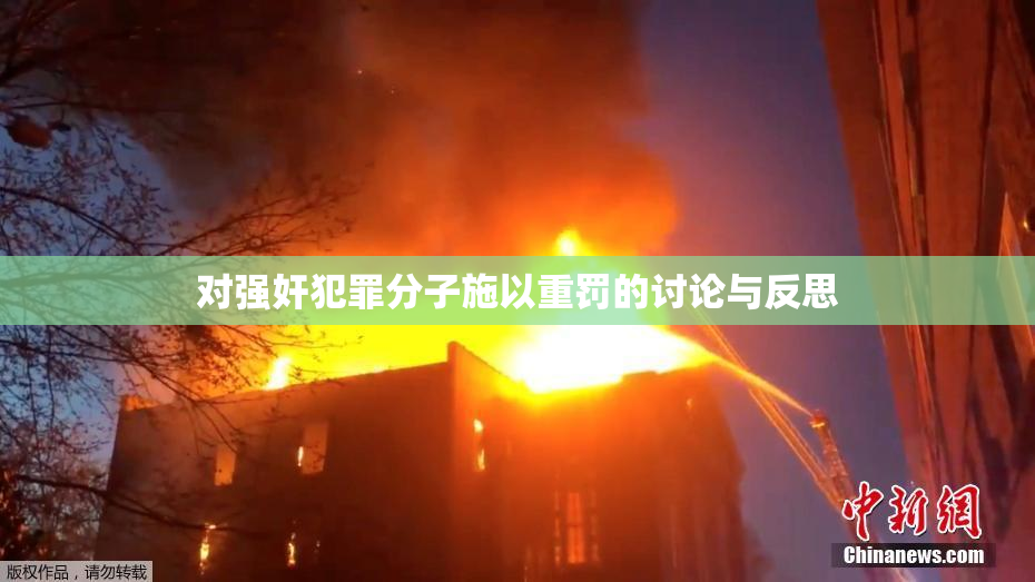 对强奸犯罪分子施以重罚的讨论与反思