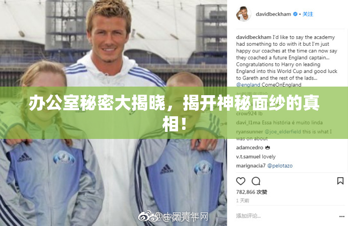 办公室秘密大揭晓，揭开神秘面纱的真相！
