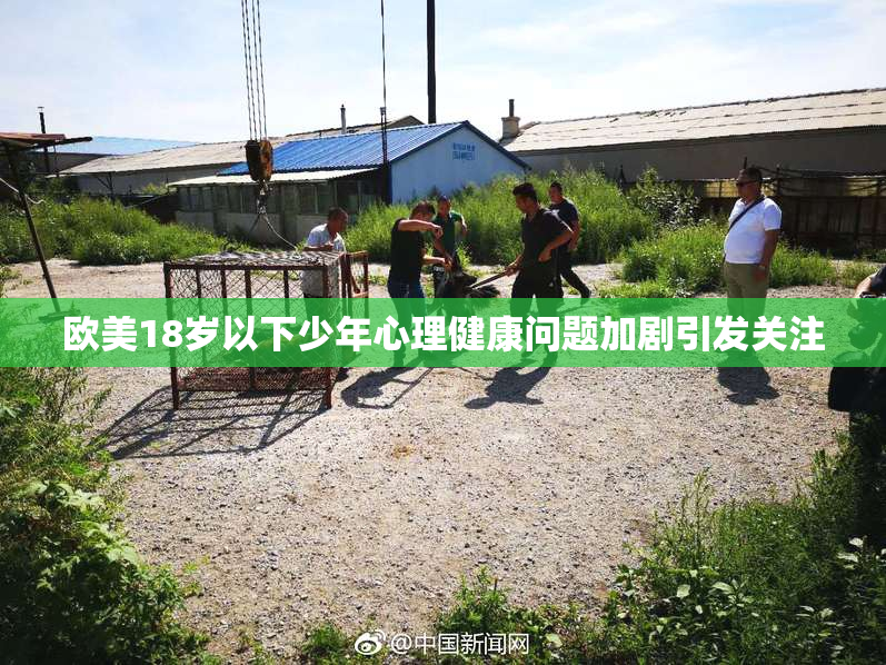 欧美18岁以下少年心理健康问题加剧引发关注