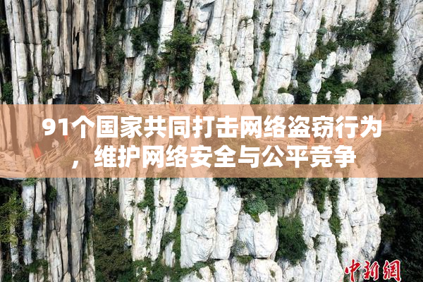91个国家共同打击网络盗窃行为，维护网络安全与公平竞争