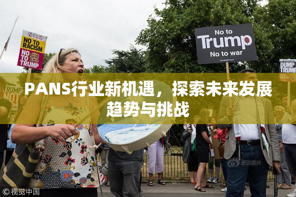 PANS行业新机遇，探索未来发展趋势与挑战