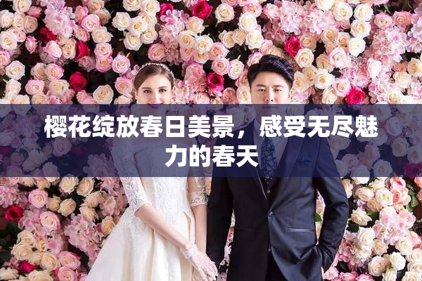 樱花绽放春日美景，感受无尽魅力的春天