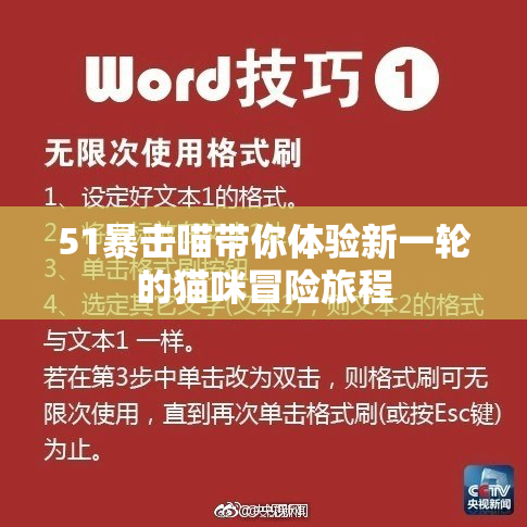 51暴击喵带你体验新一轮的猫咪冒险旅程
