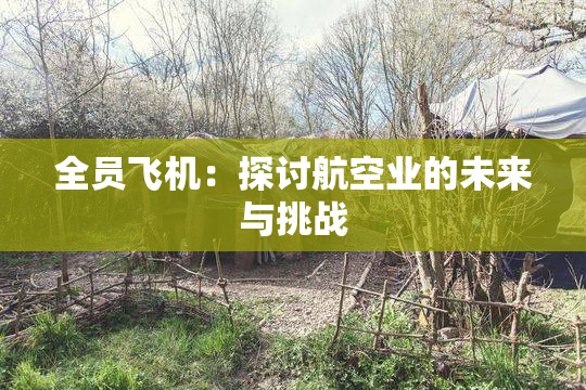 全员飞机：探讨航空业的未来与挑战