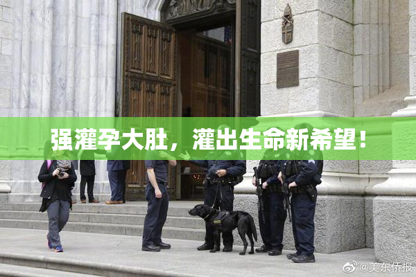 强灌孕大肚，灌出生命新希望！