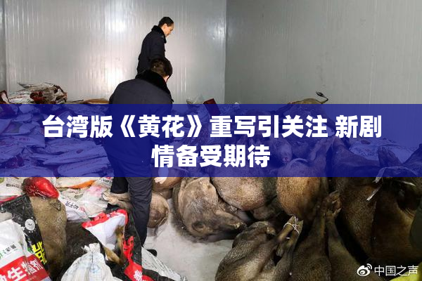 台湾版《黄花》重写引关注 新剧情备受期待