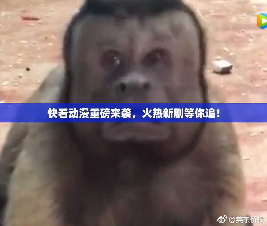 快看动漫重磅来袭，火热新剧等你追！