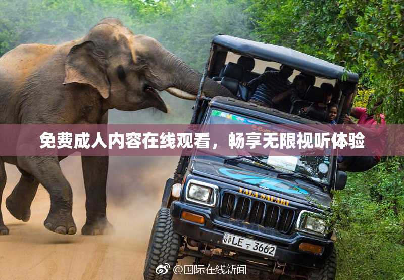 免费成人内容在线观看，畅享无限视听体验