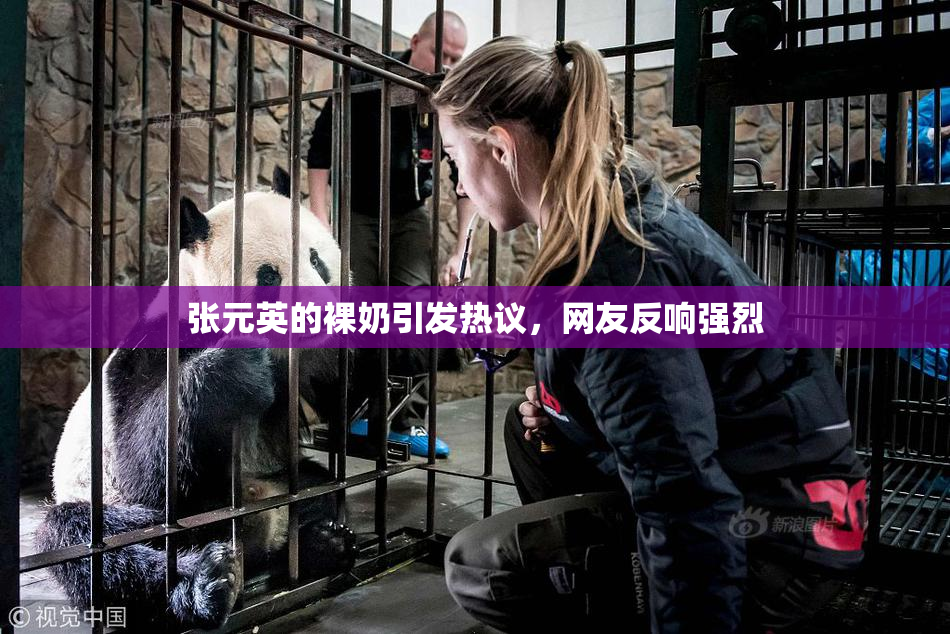 张元英的裸奶引发热议，网友反响强烈