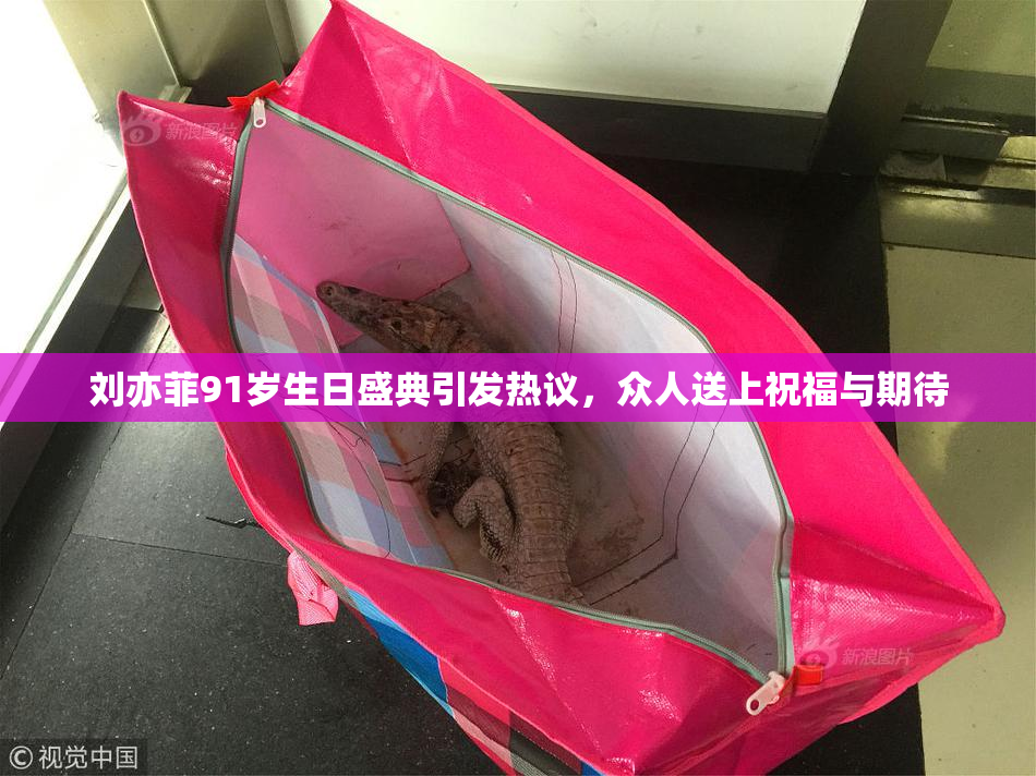 刘亦菲91岁生日盛典引发热议，众人送上祝福与期待