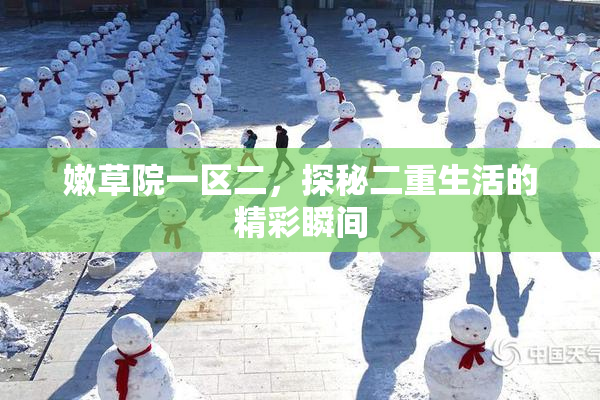 嫩草院一区二，探秘二重生活的精彩瞬间