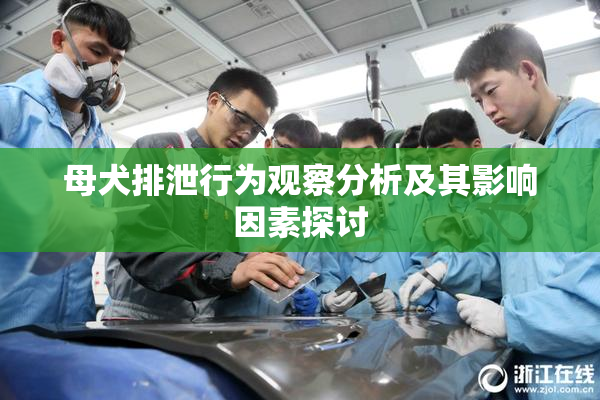 母犬排泄行为观察分析及其影响因素探讨