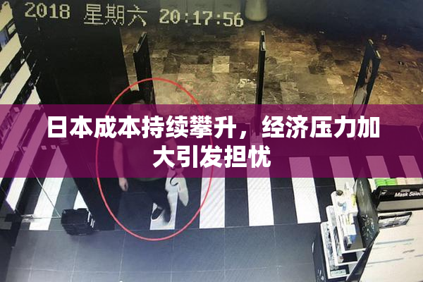 日本成本持续攀升，经济压力加大引发担忧