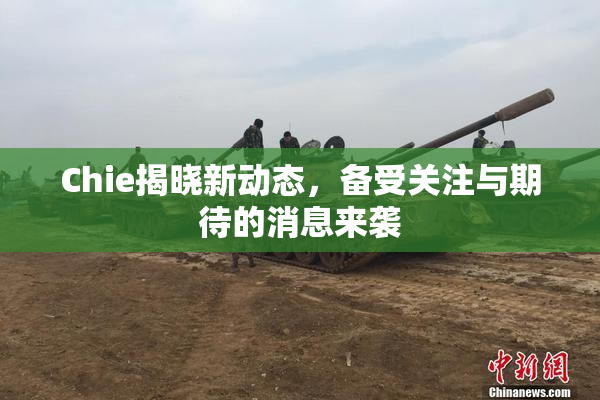 Chie揭晓新动态，备受关注与期待的消息来袭