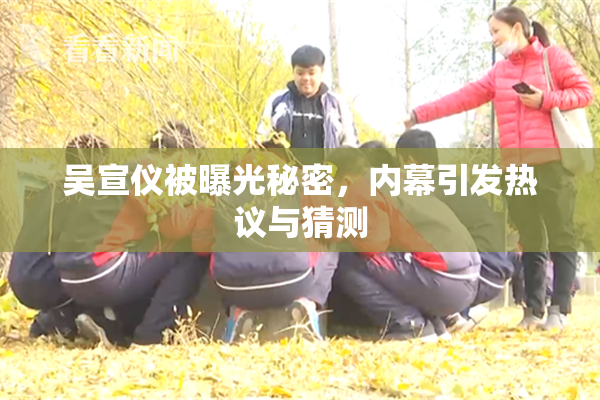 吴宣仪被曝光秘密，内幕引发热议与猜测
