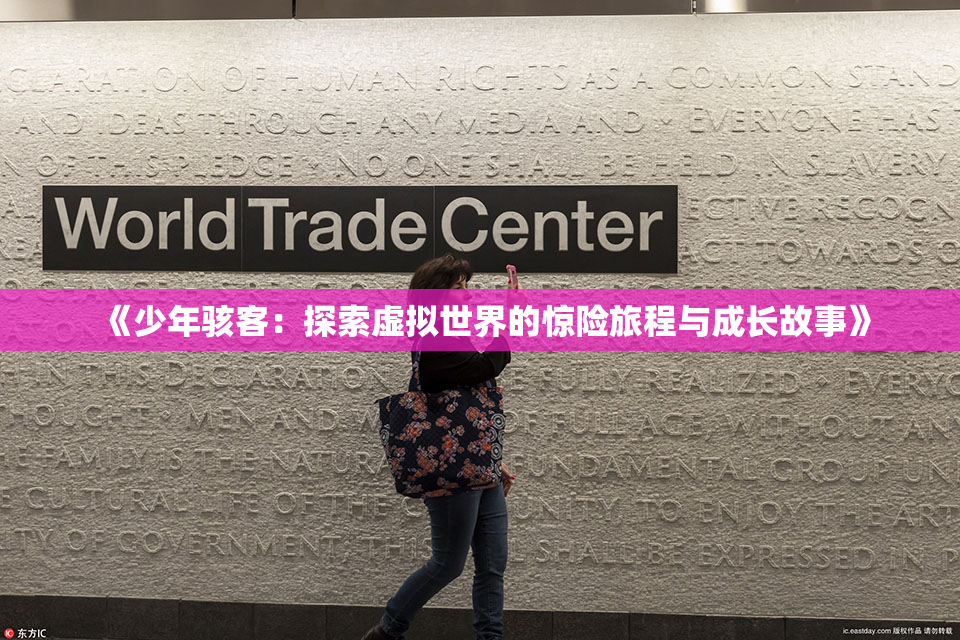 《少年骇客：探索虚拟世界的惊险旅程与成长故事》