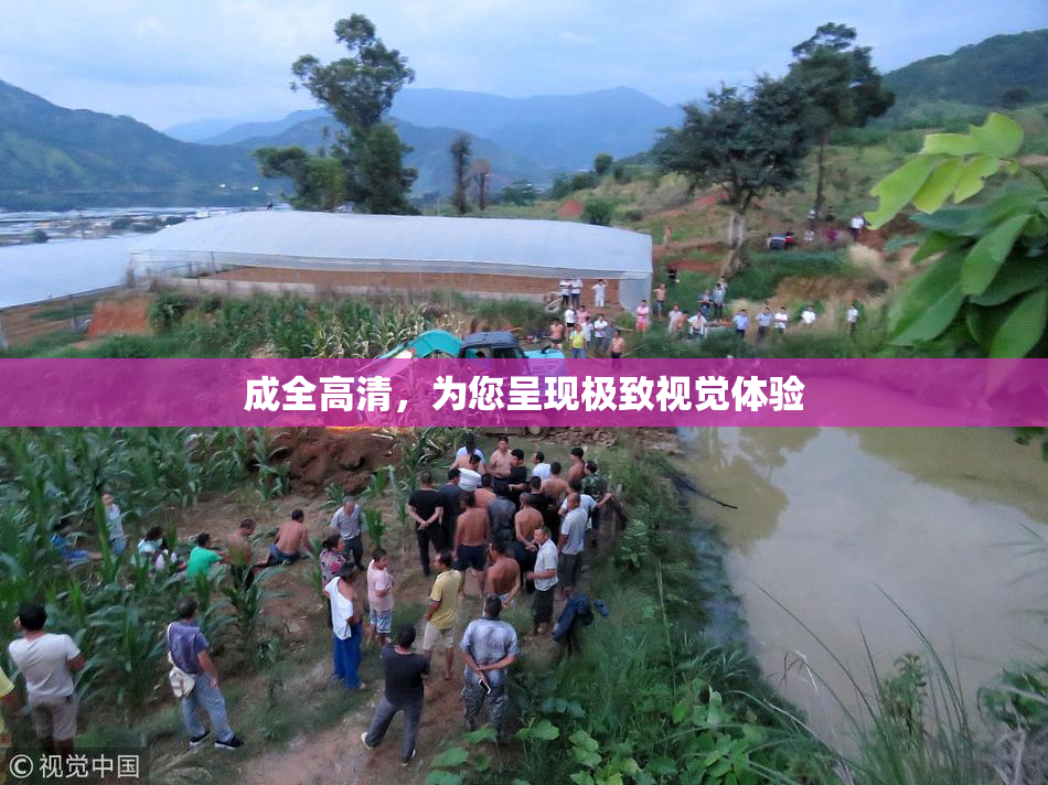 成全高清，为您呈现极致视觉体验