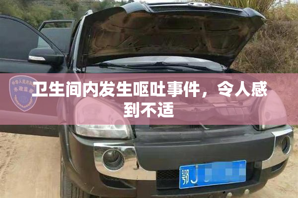 卫生间内发生呕吐事件，令人感到不适