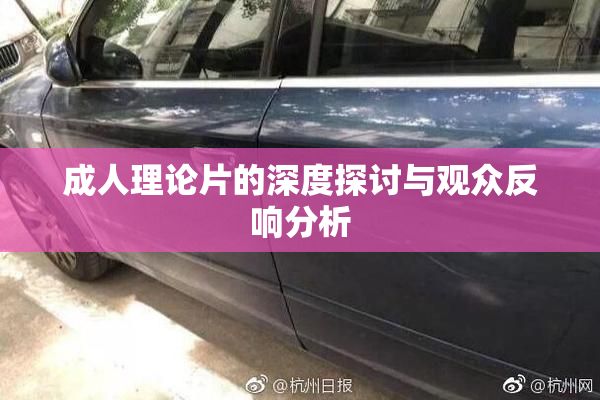 成人理论片的深度探讨与观众反响分析