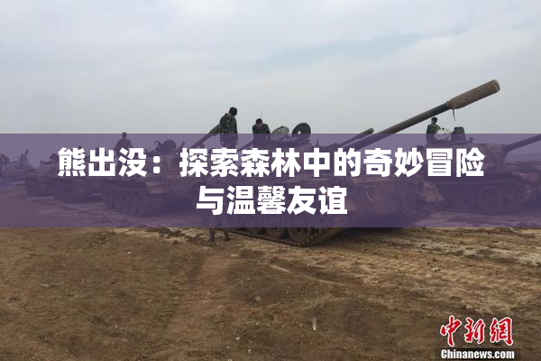 熊出没：探索森林中的奇妙冒险与温馨友谊