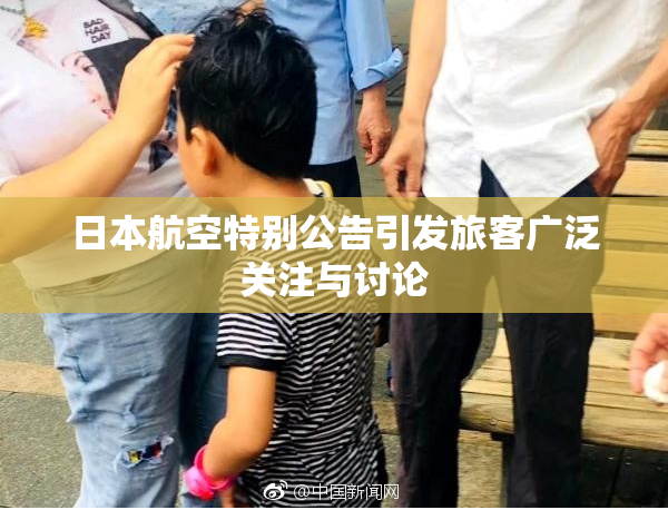 日本航空特别公告引发旅客广泛关注与讨论