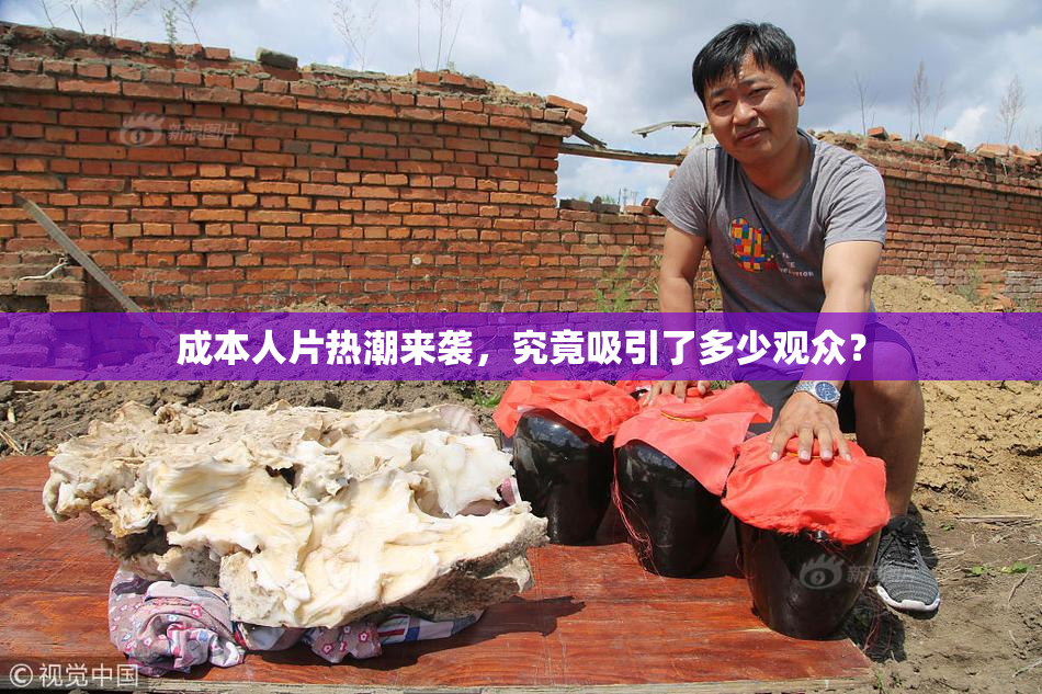 成本人片热潮来袭，究竟吸引了多少观众？