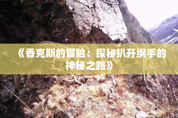 《香克斯的冒险：探秘扒开纲手的神秘之路》