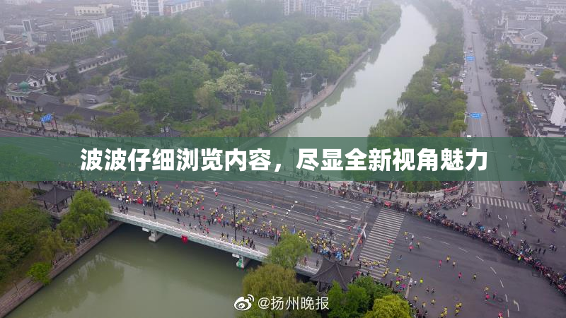 波波仔细浏览内容，尽显全新视角魅力
