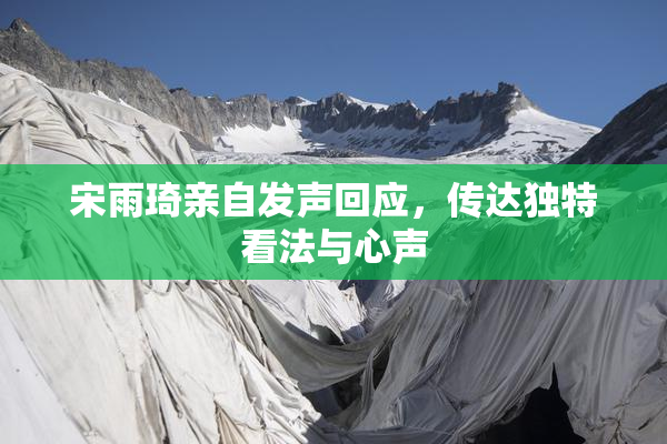 宋雨琦亲自发声回应，传达独特看法与心声
