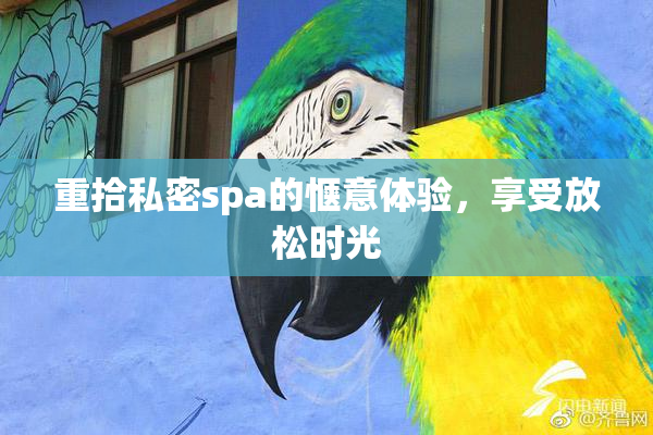 重拾私密spa的惬意体验，享受放松时光