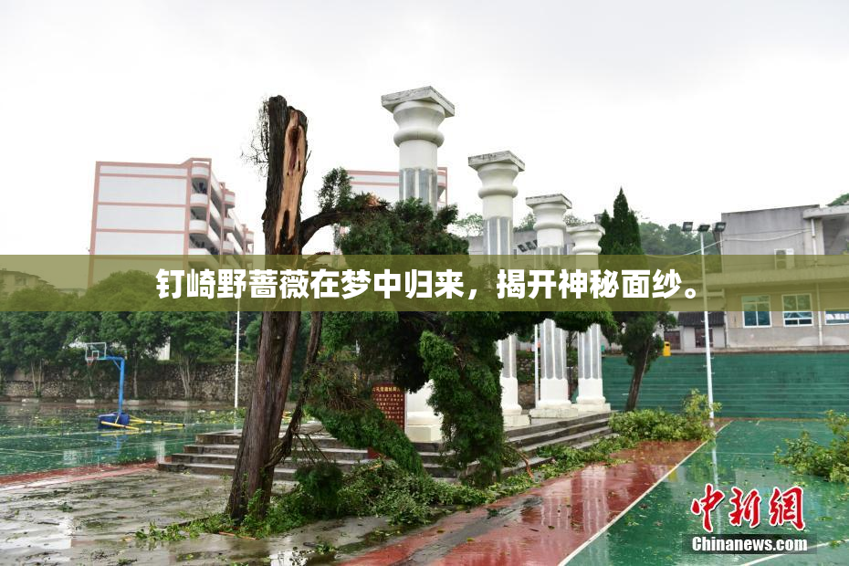 钉崎野蔷薇在梦中归来，揭开神秘面纱。