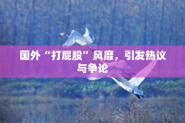 国外“打屁股”风靡，引发热议与争论