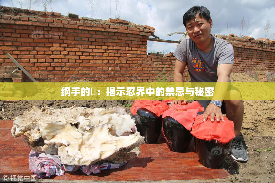 纲手的婬：揭示忍界中的禁忌与秘密