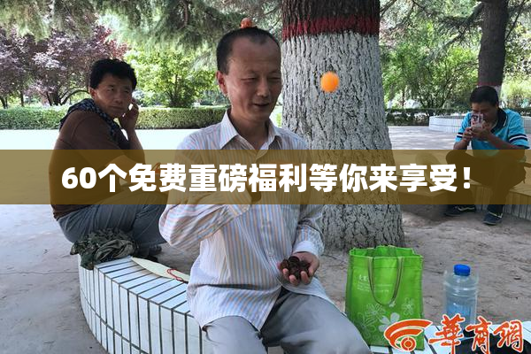 60个免费重磅福利等你来享受！
