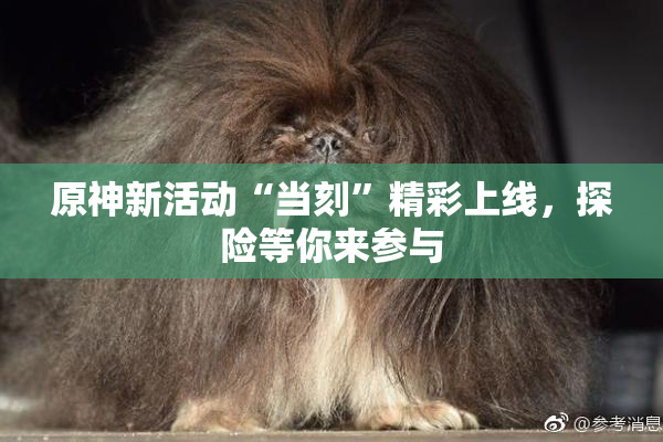 原神新活动“当刻”精彩上线，探险等你来参与