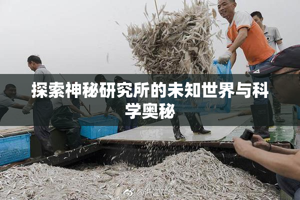 探索神秘研究所的未知世界与科学奥秘