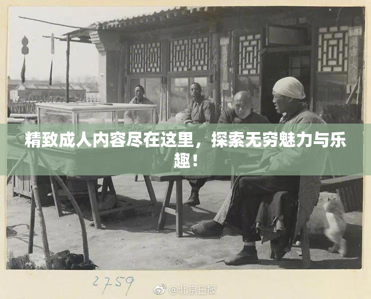 精致成人内容尽在这里，探索无穷魅力与乐趣！