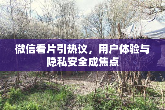 微信看片引热议，用户体验与隐私安全成焦点