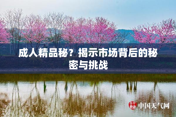 成人精品秘？揭示市场背后的秘密与挑战