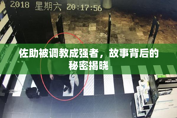佐助被调教成强者，故事背后的秘密揭晓