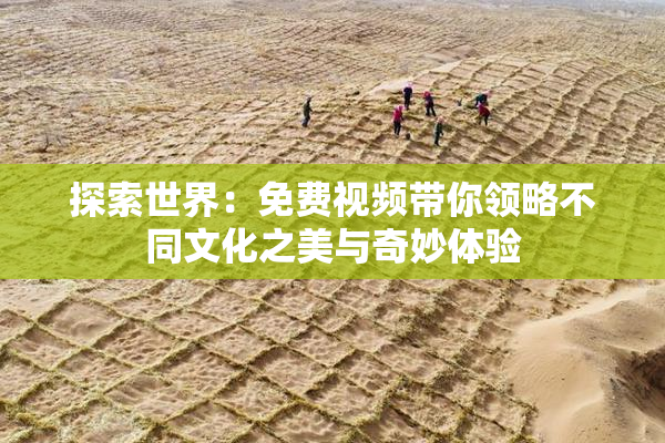 探索世界：免费视频带你领略不同文化之美与奇妙体验