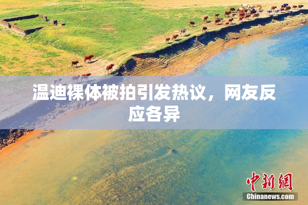 温迪裸体被拍引发热议，网友反应各异