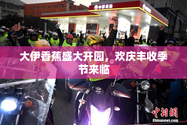 大伊香蕉盛大开园，欢庆丰收季节来临